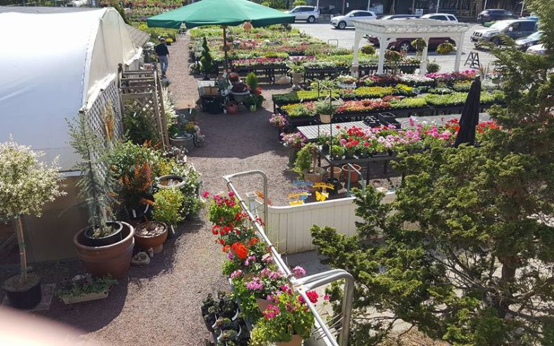 Where Is the Lehigh Valley Home & Garden Center