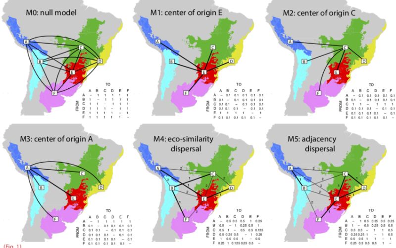 Which Best Describes Biogeographic Isolation?